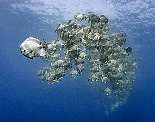 cda3cfc1903611615e1c2f10489806be_1 양묘진_MYO3754k.jpg